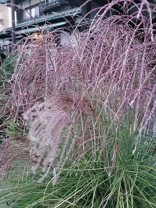 一乗寺(東京都)