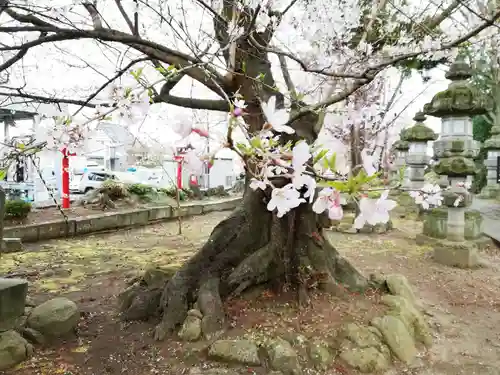 神炊館神社 ⁂奥州須賀川総鎮守⁂の自然