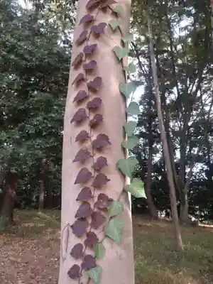 鹿嶋神社の自然