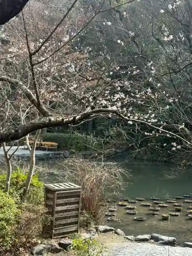 熱田神宮の{uncategorized: "未分類", other: "その他", undefined: "問題あり", building: "その他建物", grave: "お墓", sacred_gate: "鳥居", guardian: "狛犬", statue: "像", buddha: "仏像", history: "歴史", nature: "自然", garden: "庭園", animal: "動物", pagoda: "塔", temizu: "手水舎", mountain_gate: "山門・神門", sanctuary: "本殿・本堂", subordinate: "末社・摂社", art: "芸術", scenery: "景色", jizo: "地蔵", ema: "絵馬", goshuin: "御朱印", omikuji: "おみくじ", items: "授与品その他", amulet: "お守り", goshuincho: "御朱印帳", eats: "食事", festival: "お祭り", votive_dance: "神楽", shichigosan: "七五三参", wedding: "結婚式", experience: "体験その他", initially: "初詣", around: "周辺", anti_infection: "感染症対策"}