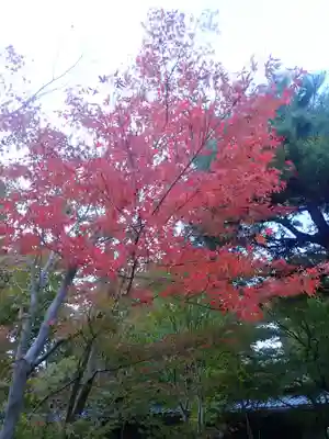 杉本寺(神奈川県)
