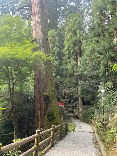 室生寺(奈良県)