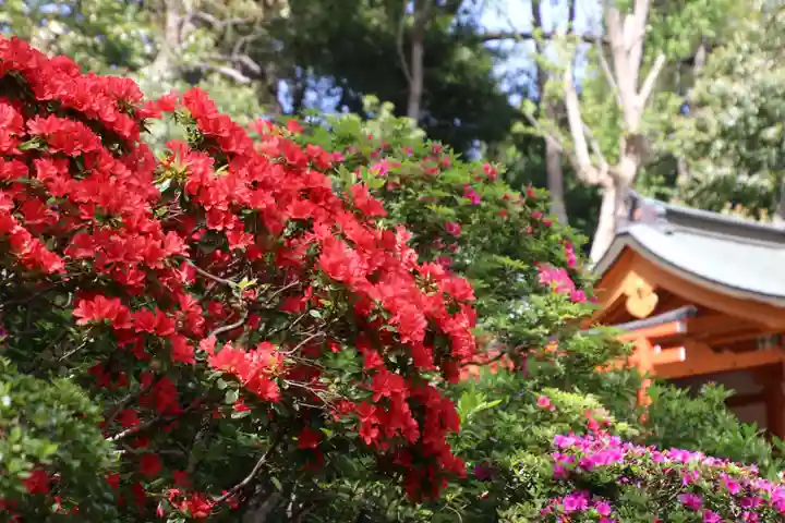 根津神社の庭園