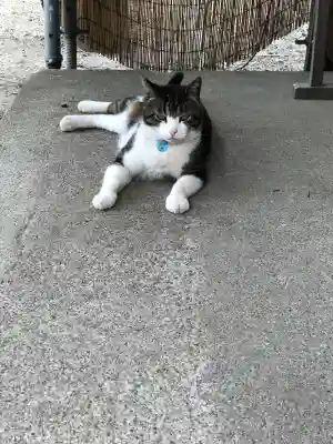 鶴田八幡宮(青森県)