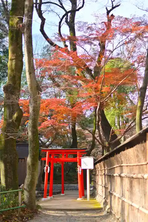 賀茂御祖神社(下鴨神社)(京都府)