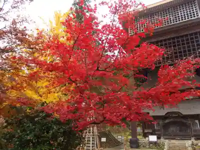 西福寺(新潟県)