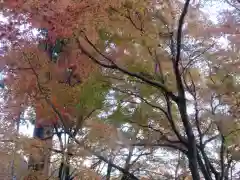 清水寺(京都府)