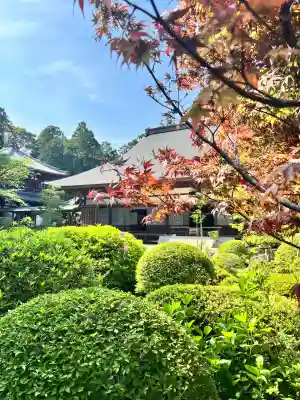 龍潭寺(静岡県)