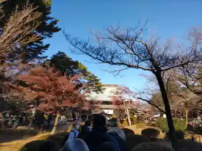 豪徳寺(東京都)