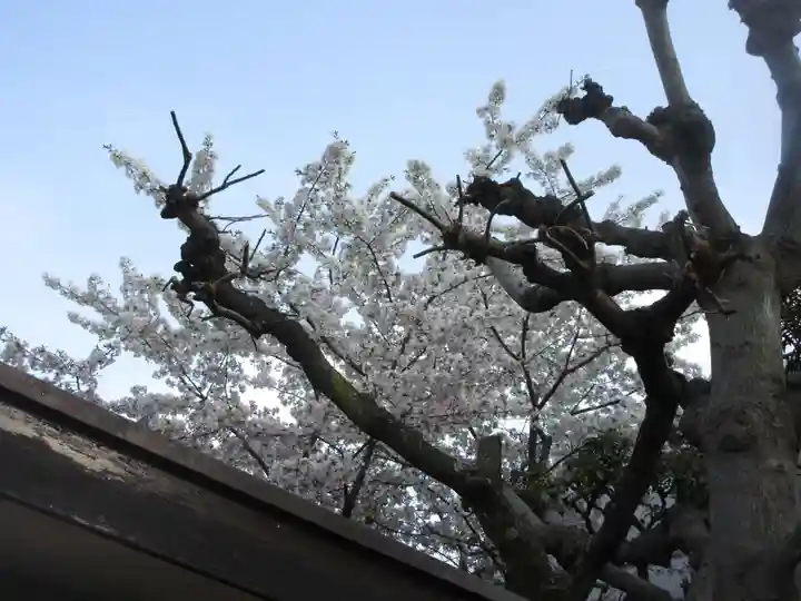 白鬚神社(東京都)