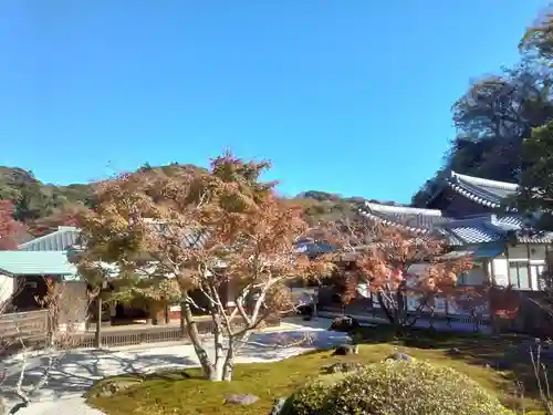 長壽寺（長寿寺）の庭園