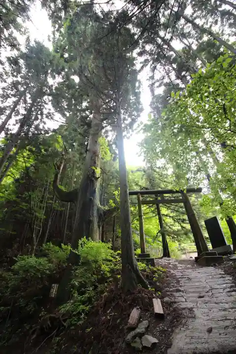 武蔵御嶽神社奥の院の鳥居