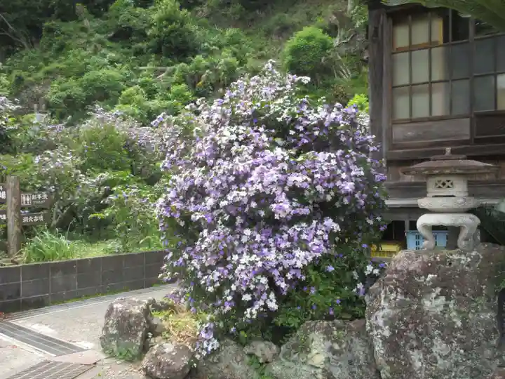 了仙寺(静岡県)