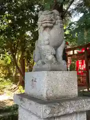 馬場氷川神社の狛犬