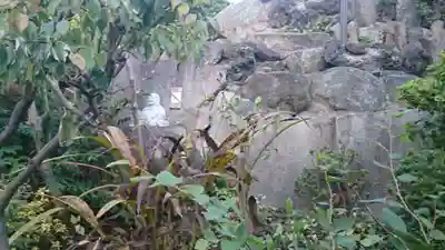 鎮守氷川神社のその他建物