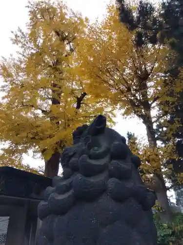 福井神社(福井県)