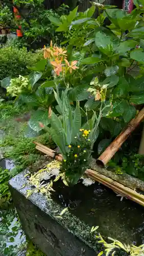 宝蔵寺(京都府)