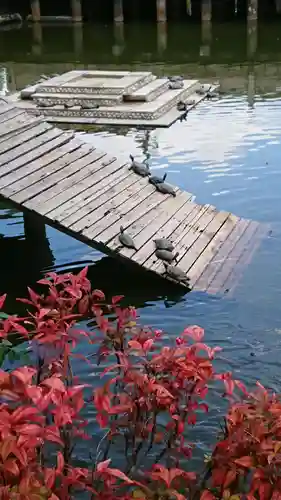 四天王寺の庭園