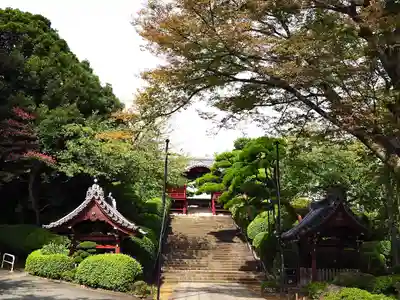 護国寺(東京都)