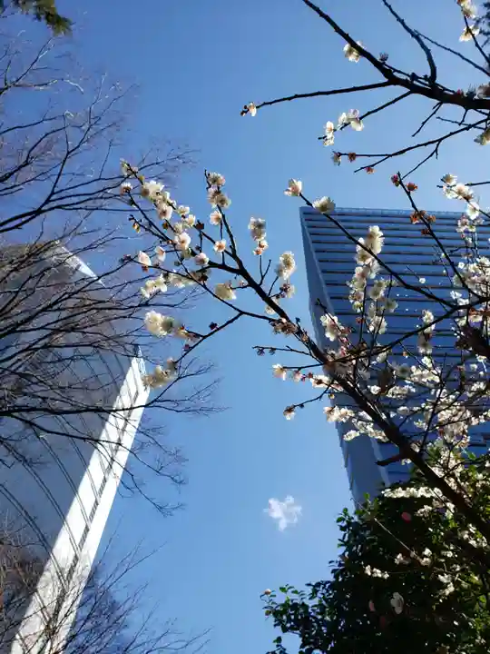 東郷神社(東京都)