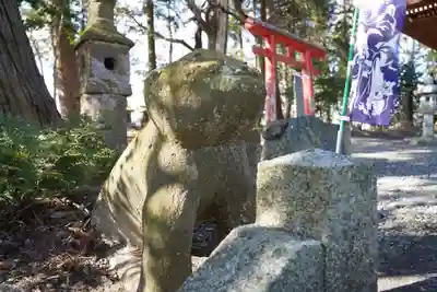阿久津「田村神社」(郡山市阿久津町)旧社名:伊豆箱根三嶋三社の狛犬