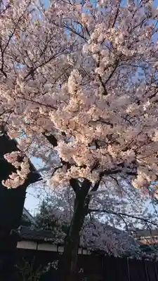 金神社(西町)の周辺