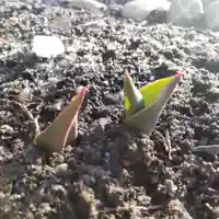 七重浜海津見神社(北海道)
