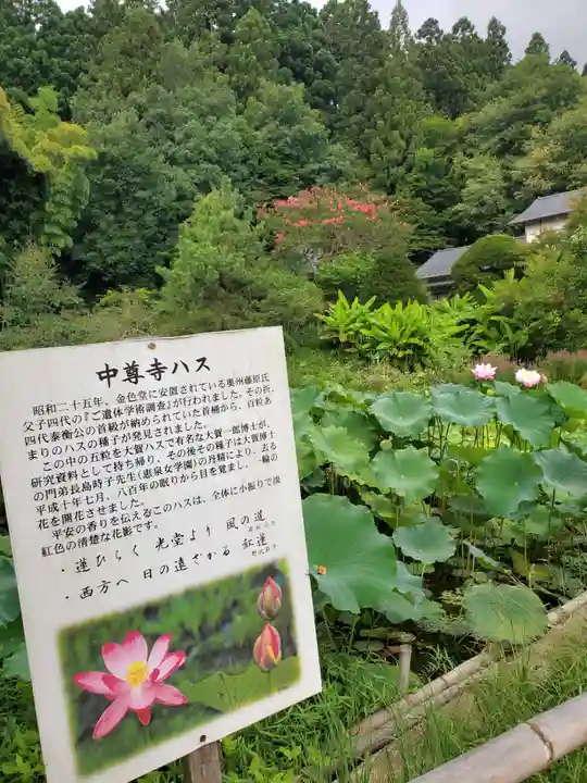 中尊寺金色堂(岩手県)