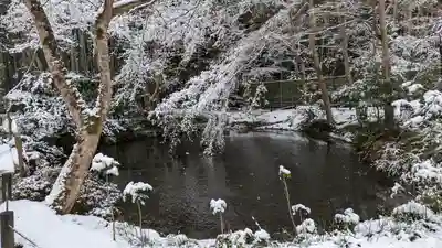 圓光寺(京都府)
