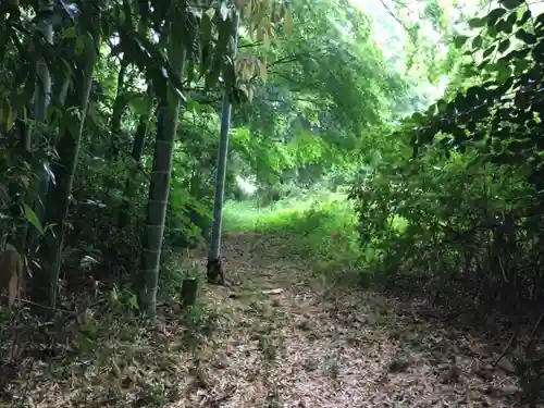 胎安神社の自然