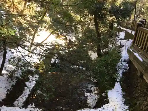 多度大社の自然