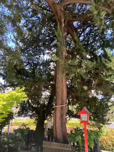 瀬戸神社(神奈川県)