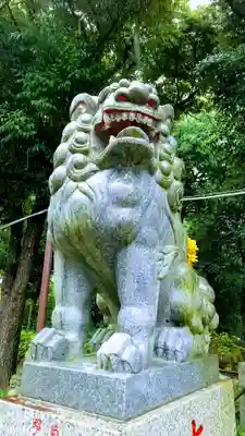 菊田神社の狛犬