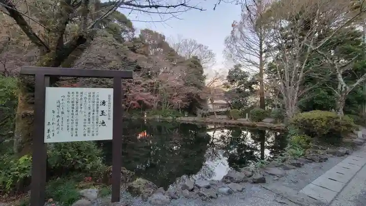 富士山本宮浅間大社(静岡県)