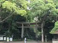 明治神宮の鳥居