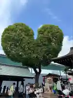 南宮宇佐八幡神社(脇浜神社)(兵庫県)