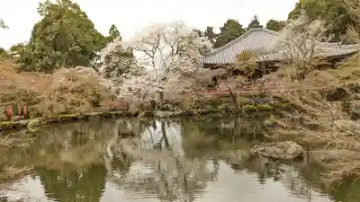 醍醐寺(京都府)