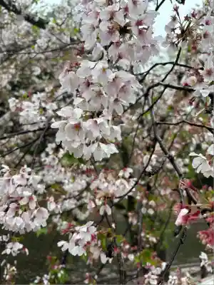 間々田八幡宮(栃木県)