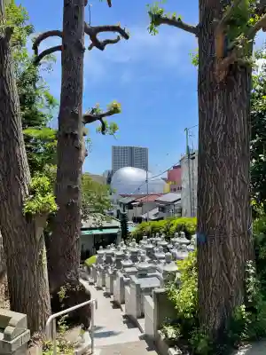 浄土宗 光明山 大蓮寺(照曜会館)(神奈川県)