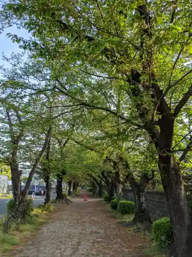 伊多波刀神社(愛知県)