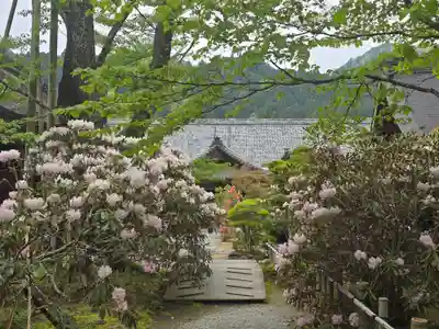 室生寺(奈良県)