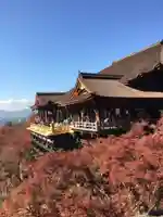 清水寺の本殿・本堂