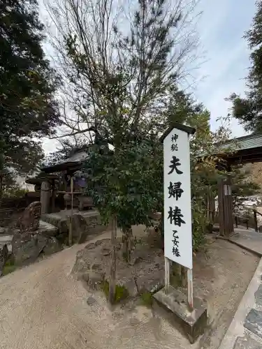 八重垣神社の{uncategorized: "未分類", other: "その他", undefined: "問題あり", building: "その他建物", grave: "お墓", sacred_gate: "鳥居", guardian: "狛犬", statue: "像", buddha: "仏像", history: "歴史", nature: "自然", garden: "庭園", animal: "動物", pagoda: "塔", temizu: "手水舎", mountain_gate: "山門・神門", sanctuary: "本殿・本堂", subordinate: "末社・摂社", art: "芸術", scenery: "景色", jizo: "地蔵", ema: "絵馬", goshuin: "御朱印", omikuji: "おみくじ", items: "授与品その他", amulet: "お守り", goshuincho: "御朱印帳", eats: "食事", festival: "お祭り", votive_dance: "神楽", shichigosan: "七五三参", wedding: "結婚式", experience: "体験その他", initially: "初詣", around: "周辺", anti_infection: "感染症対策"}