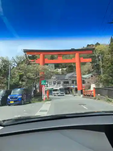 箱根神社の鳥居