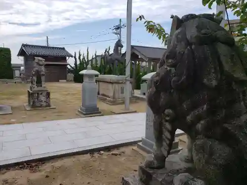 住吉神社の狛犬