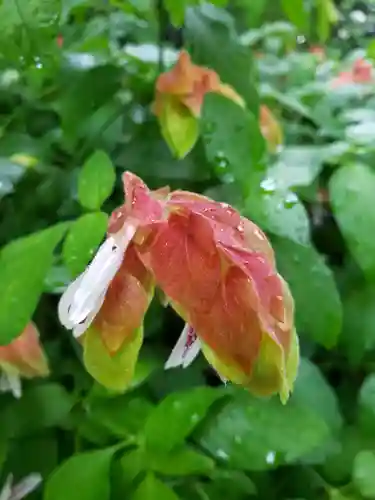 成子天神社(東京都)