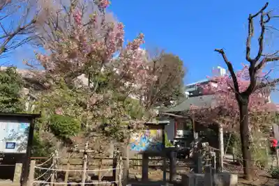 鳩森八幡神社(東京都)