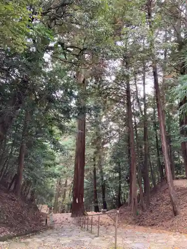 元伊勢内宮 皇大神社(京都府)