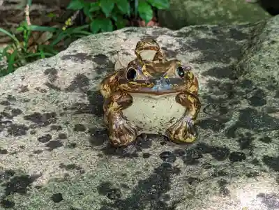 柳谷観音　楊谷寺(京都府)