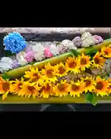 美幌神社(北海道)